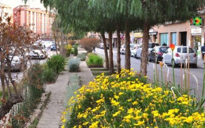 Comercios Mollet